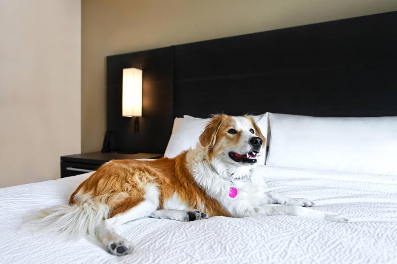 Residence Inn Steamboat Springs Εξωτερικό φωτογραφία